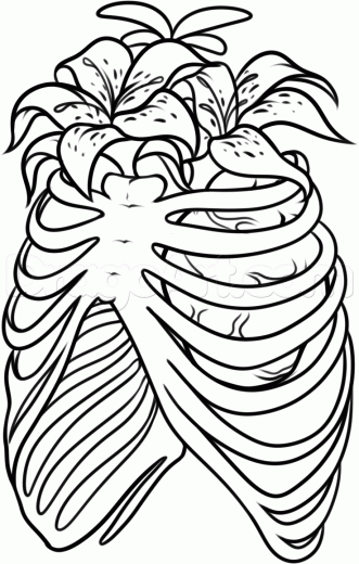 Learn How to Draw a Rib Cage Tattoo, Tattoos, Pop Culture, FREE ...