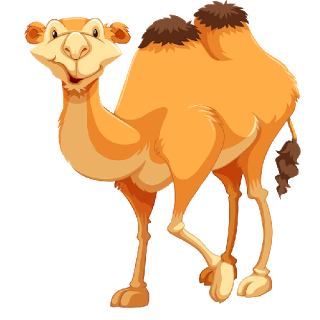 Camel Cartoon Pictures - Funny Camel Pictures
