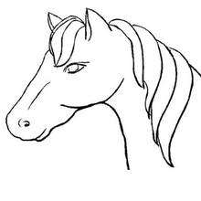 HORSE coloring pages - Horse head