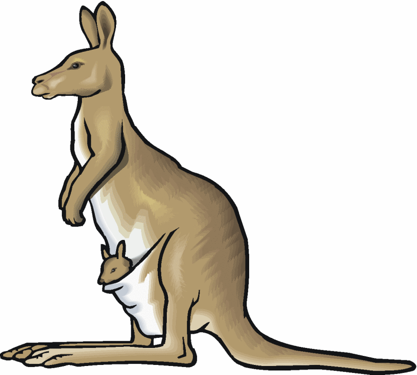 kangaroo drawings clip art - photo #46