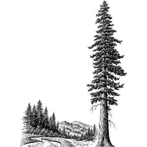 Redwoods Silhouette - ClipArt Best