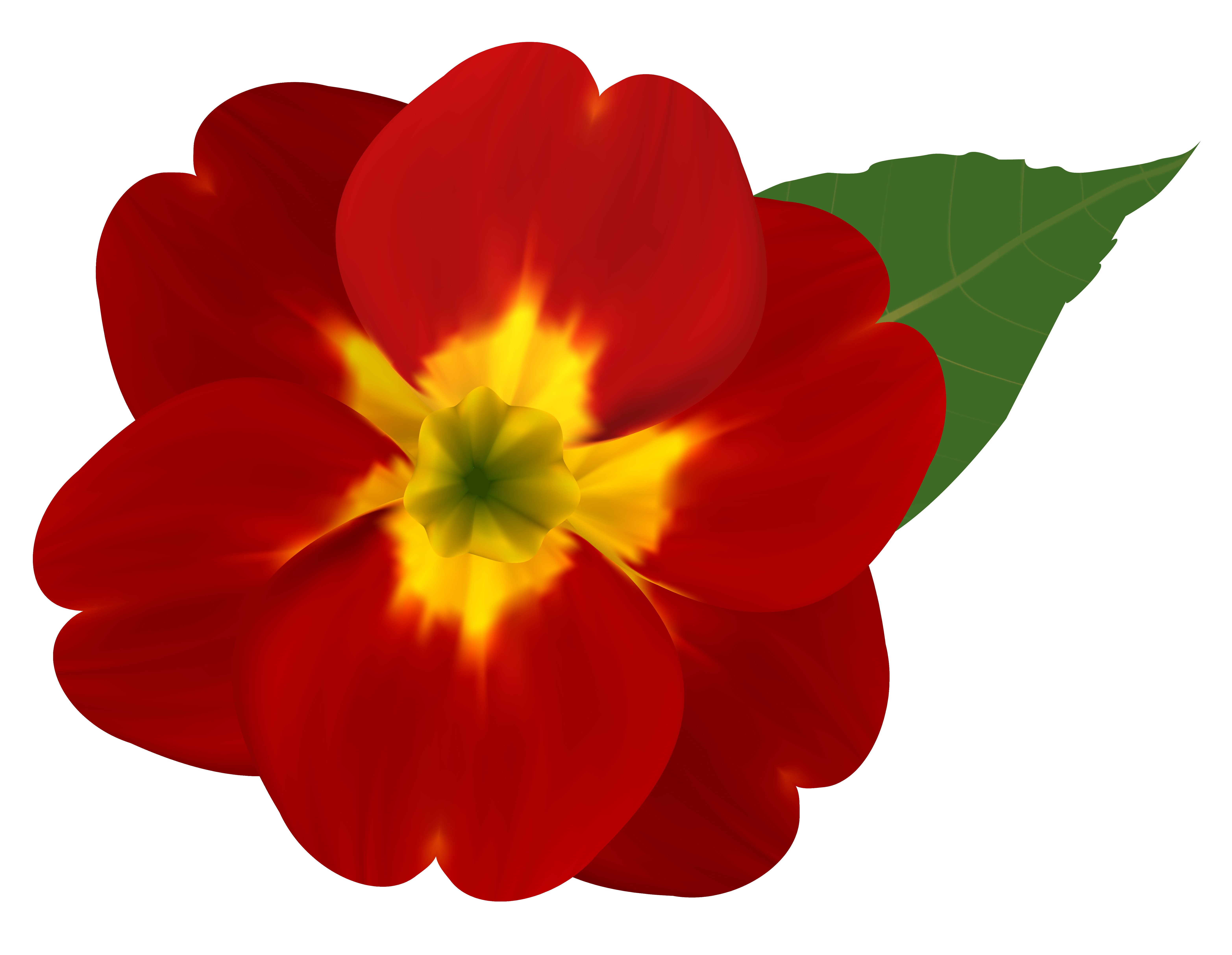 Red and Yellow Flower PNG Clipart Image