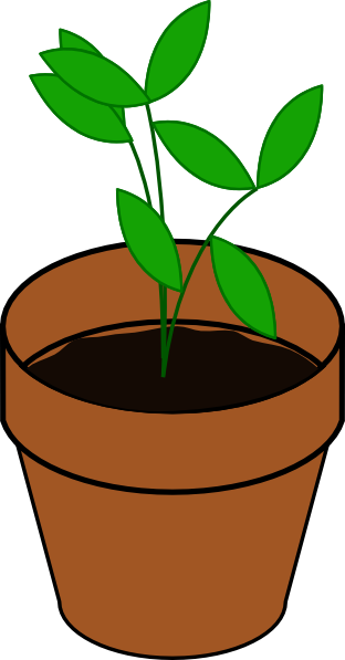 Cartoon Plant Growing In Plant Pot - ClipArt Best
