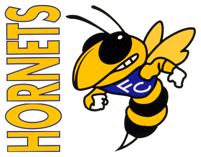 Hornet mascot clipart