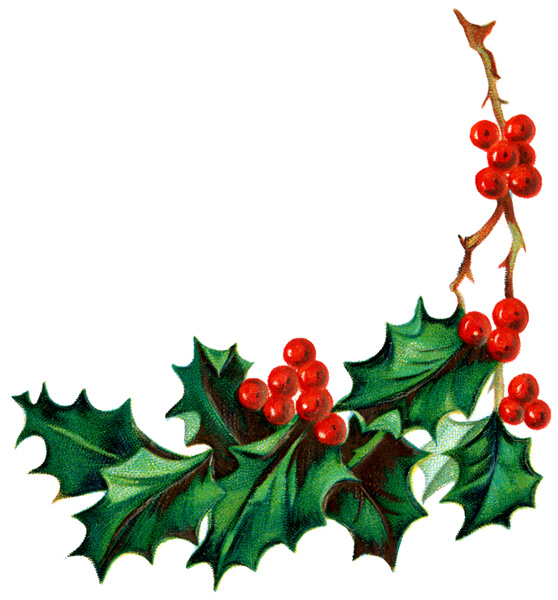 Holly Image | Free Download Clip Art | Free Clip Art | on Clipart ...