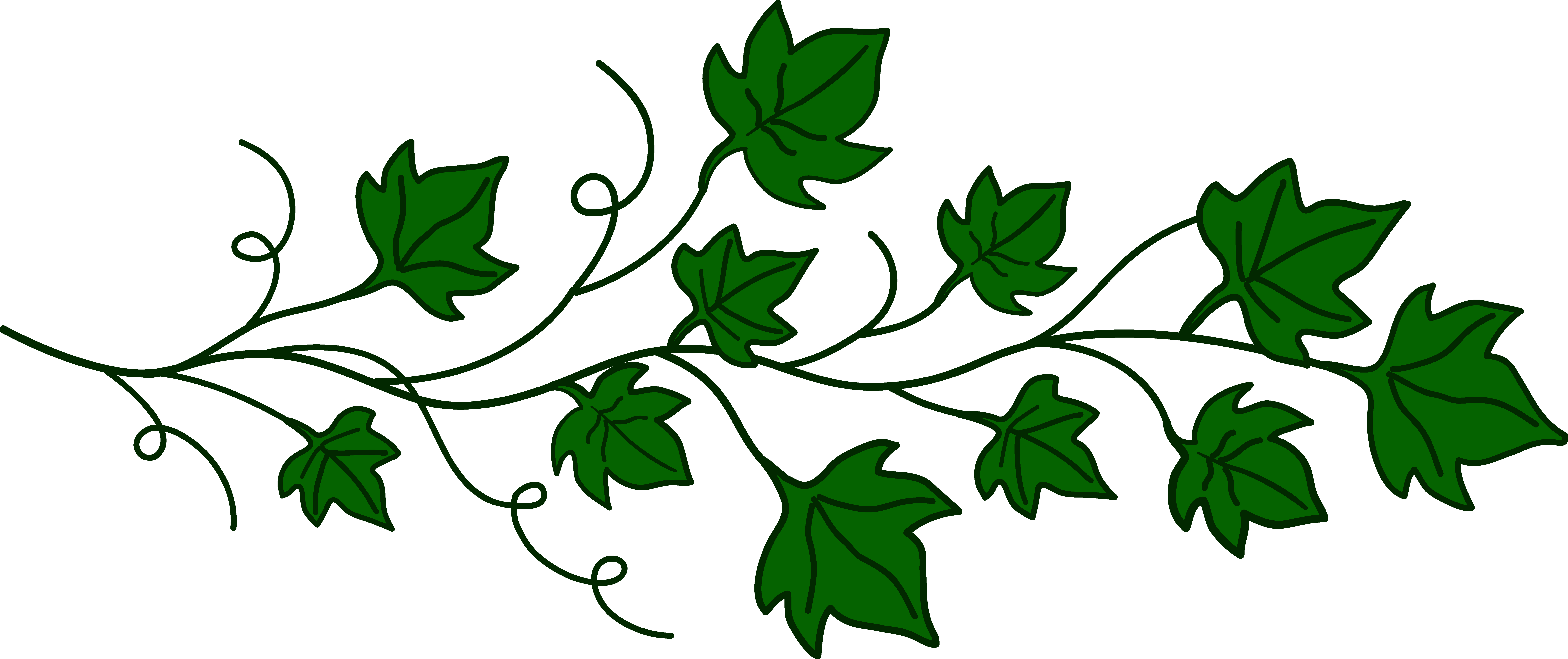 Cartoon Vines Clipart - Free to use Clip Art Resource