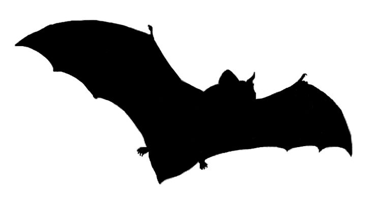 Halloween Hanging Bat Silhouette