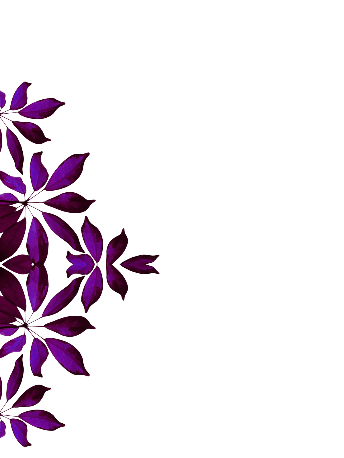 Purple Flower Border | Free Download Clip Art | Free Clip Art | on ...