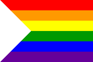 Variations of the Gay Pride/Rainbow Flag