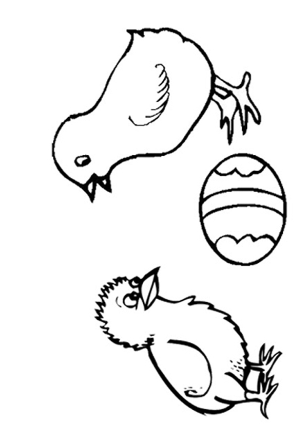 Baby Chick Printable Coloring Pages Baby Chick Printable Coloring Pages