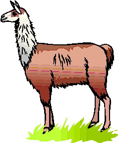 Clipart upper class llama image - Clipartix