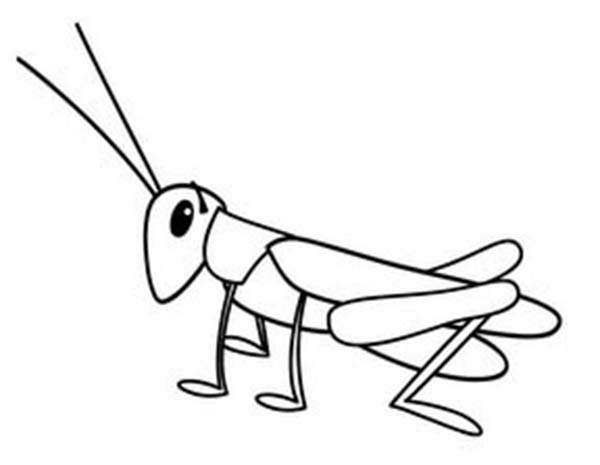 Locust Coloring Page - ClipArt Best