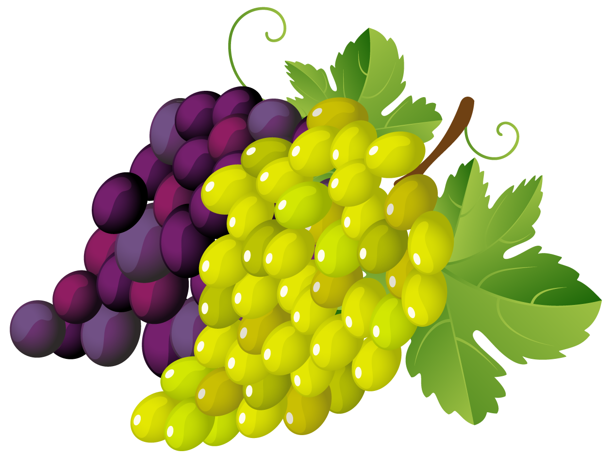 grape juice clipart - photo #15