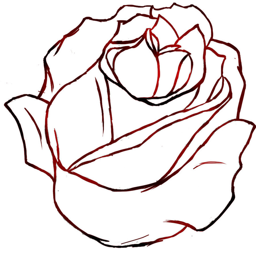 Best Photos of Traditional Rose Outline Sketch - Rose Drawing ...