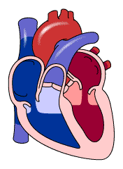 Heart Concepts | Eric Paredes Save A Life Foundation