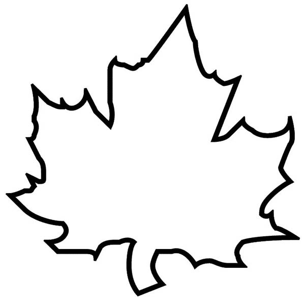 Fall leaf clipart outline
