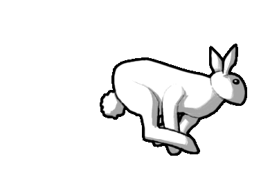 rabbit chinese zodiac Animated Gifs ~ Gifmania
