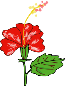 Flower Hibiscus clip art - vector clip art online, royalty free ...