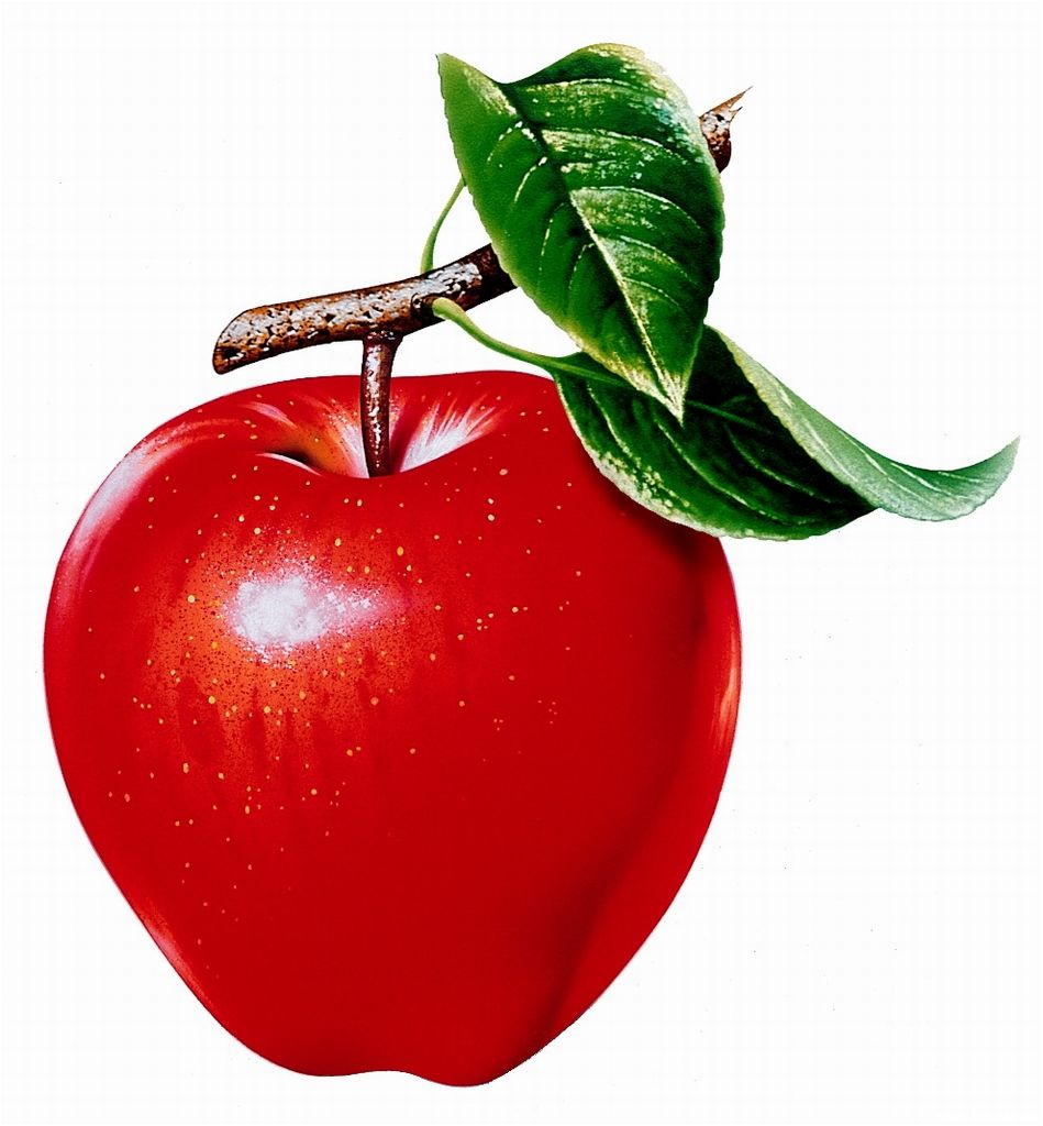 Apple Fruits Pictures - ClipArt Best - ClipArt Best