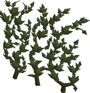 Image - Ivy.png - The RuneScape Wiki