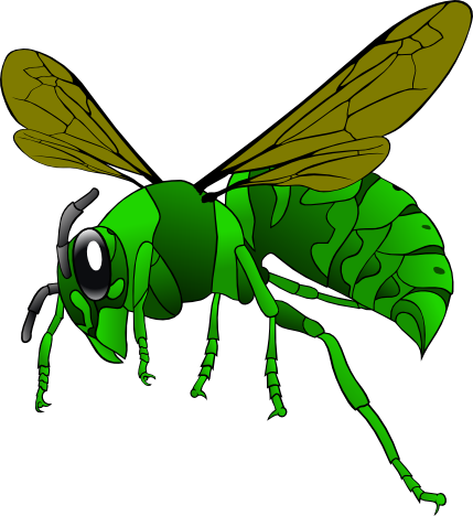 insect bee 1 SVG