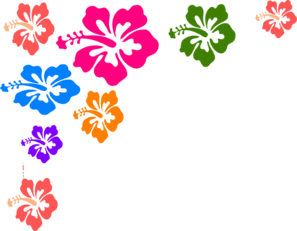 hibiscus-flower-color-md.png