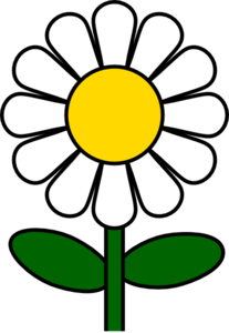 daisy+flower+drawing.+(3).png
