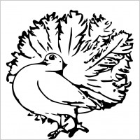 621 views Free vector clay pigeon designs Free vector for free download ...