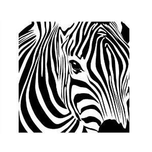 Zebra Print Vinyl Info | Expressions Vinyl Blog