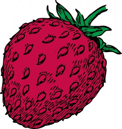 Strawberries clip art Free vector for free download (about 17 files).