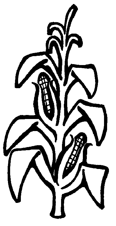 Plants Clip Art