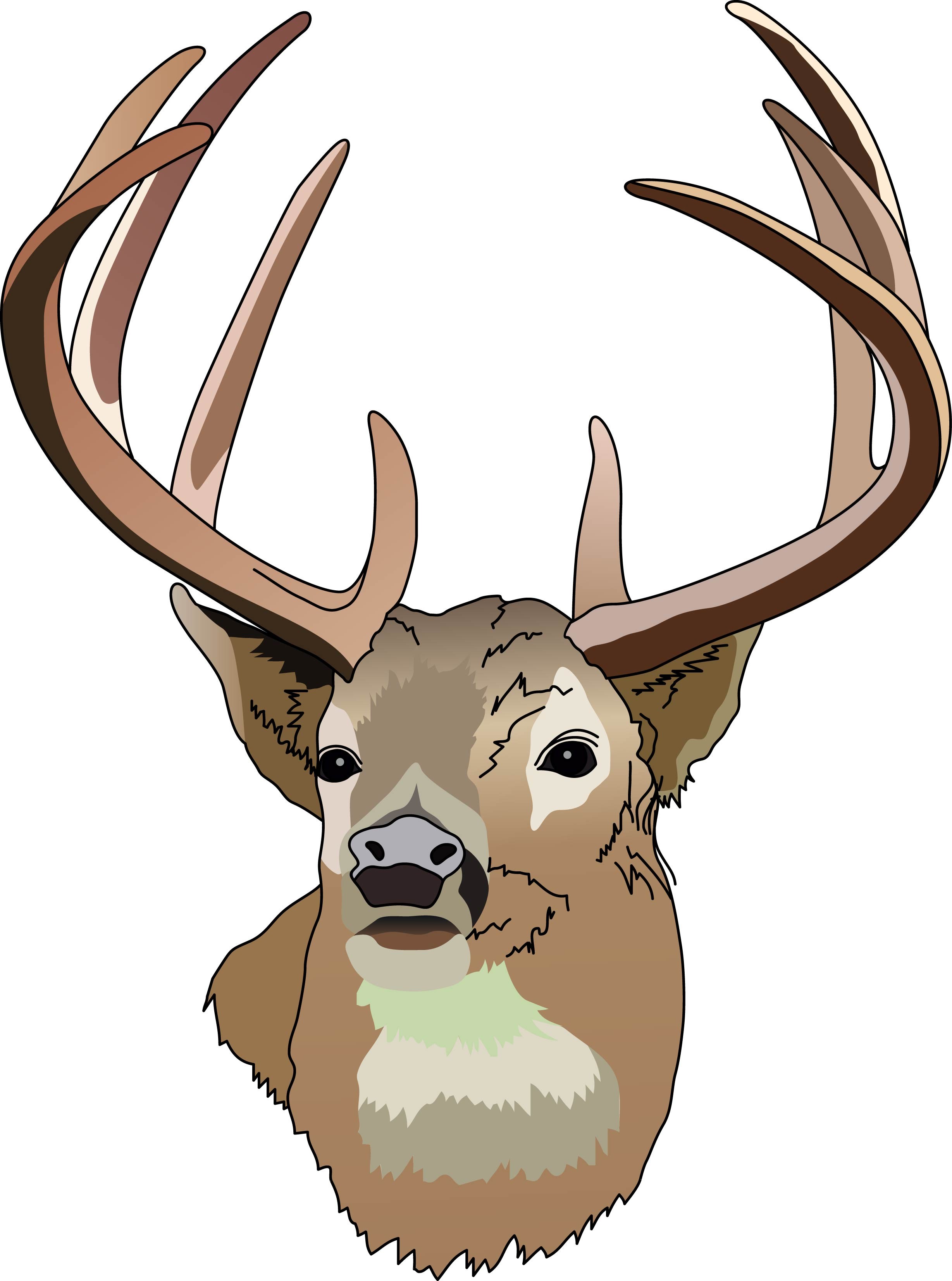 Deer Head Clipart Black And White - Free Clipart ...