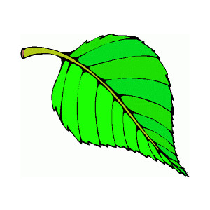 Animated Leaves Clipart