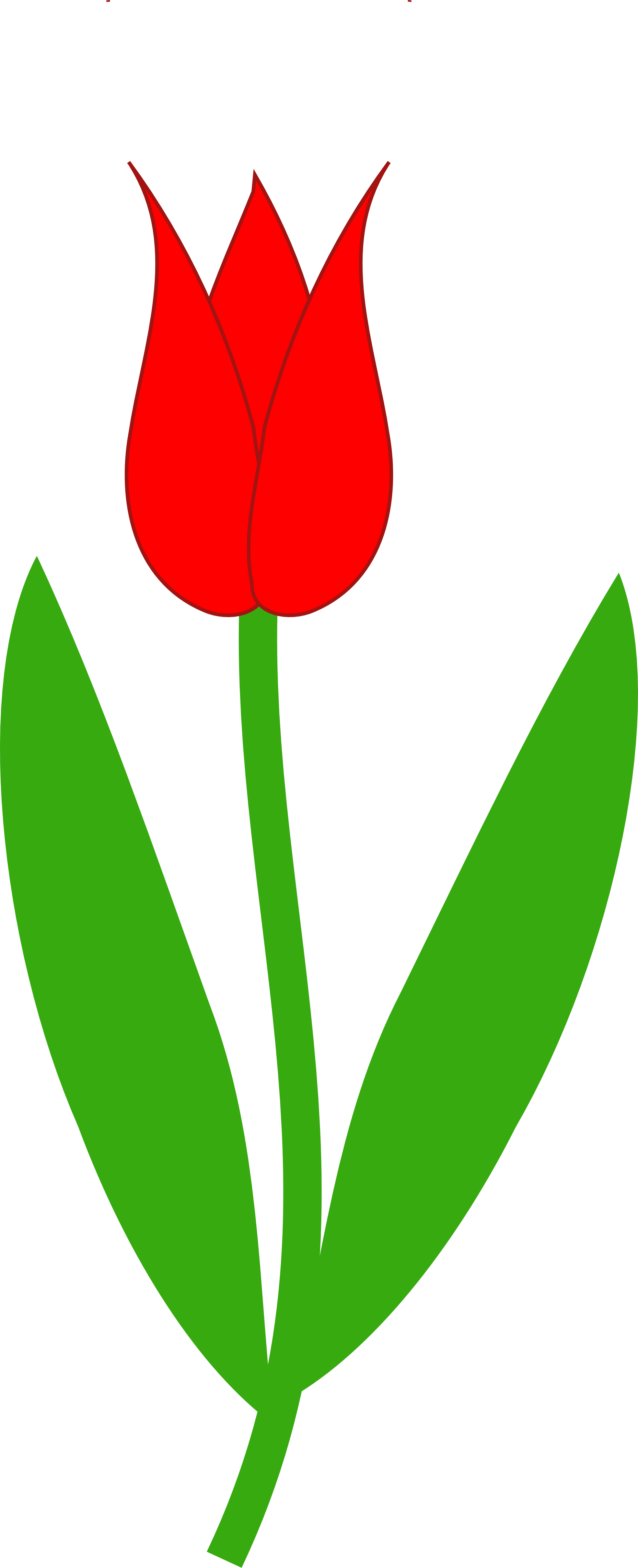 Red Tulips Clipart