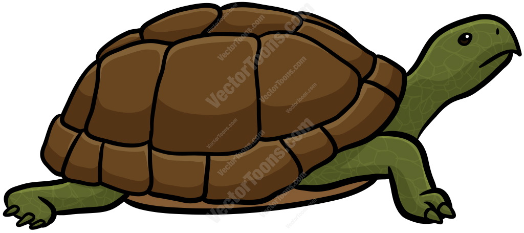 Cartoon Clipart: Green Turtle With Brown Shell