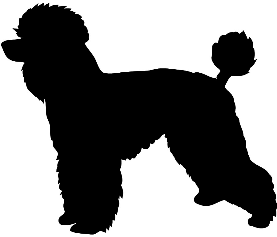 18+ French Poodle Clipart