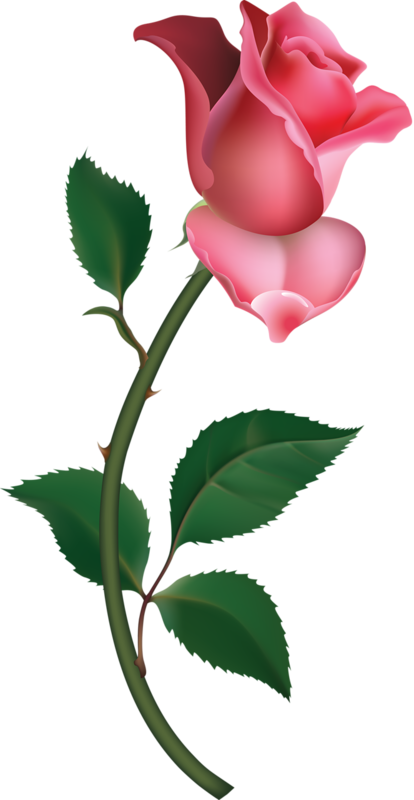 Pink Rose Clip Art - Tumundografico