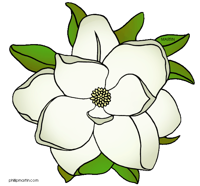Magnolia Flower Clip Art - Free Clipart Images