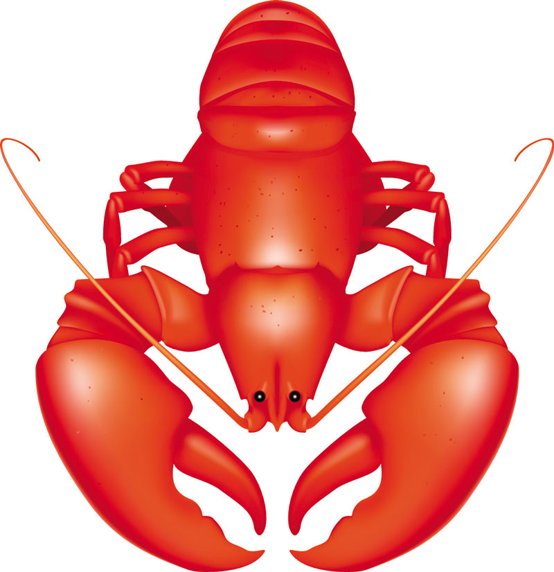 Cartoon lobster cofocolorhd cliparts - Clipartix