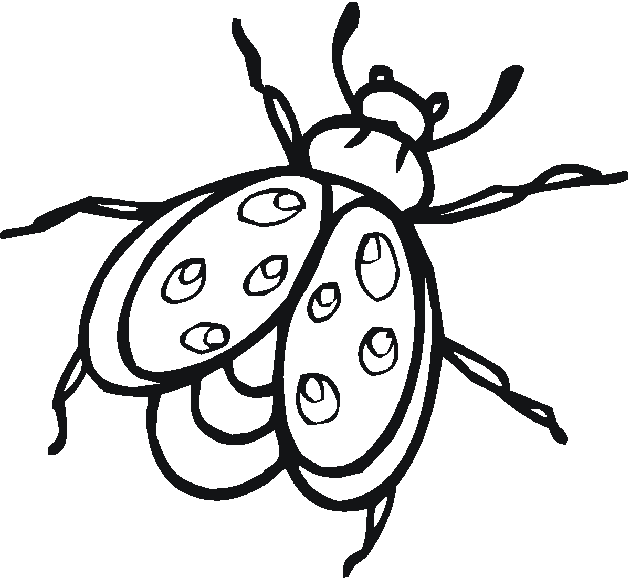 Lightning Bug Coloring Pages - ClipArt Best