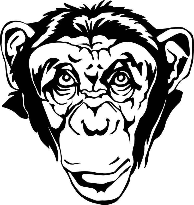 Cartoon Monkey Face Black And White