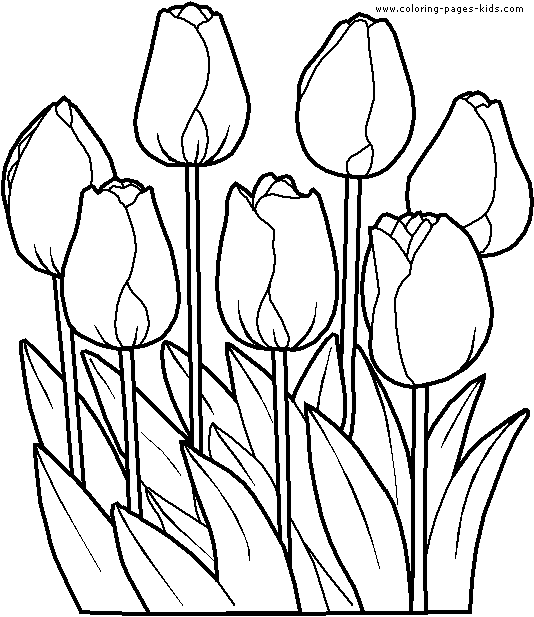 1000+ images about TULIPS | Clip art, Tulip painting ...
