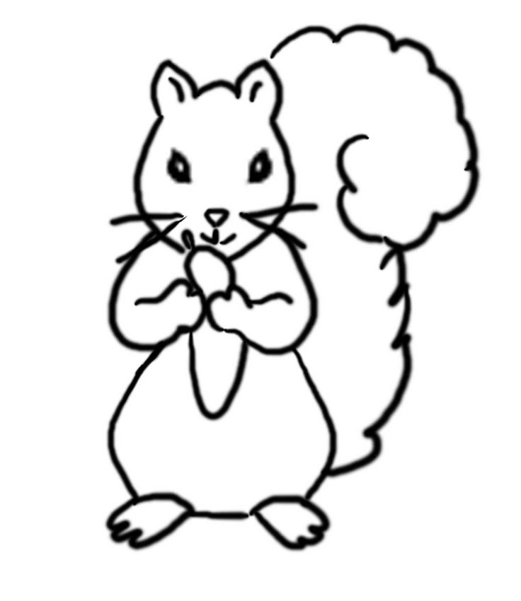 squirrel-templates-clipart-best