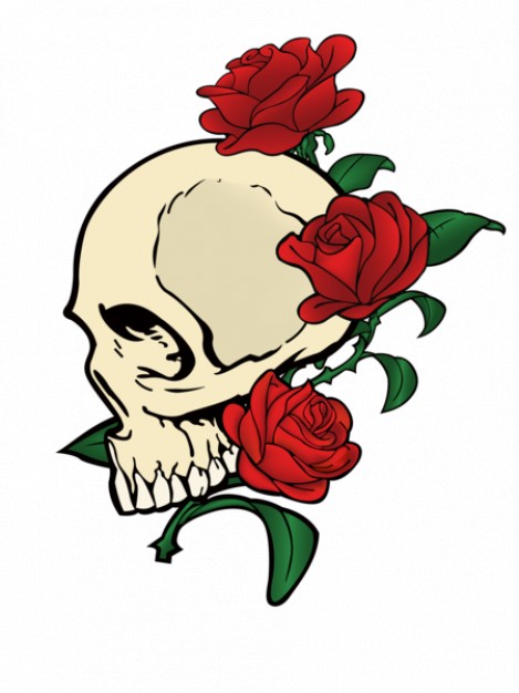 Skull with red rose vector Vector | Free Download