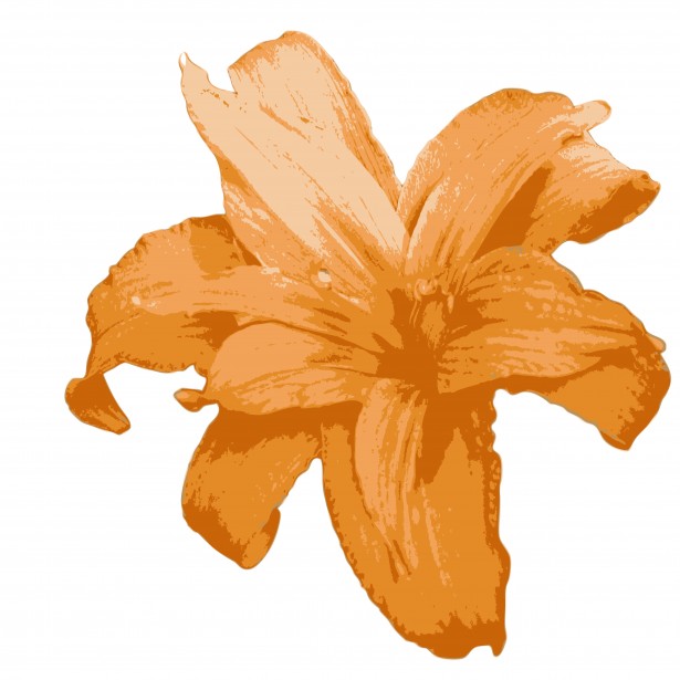 Free lily clipart public domain flower clip art images and ...