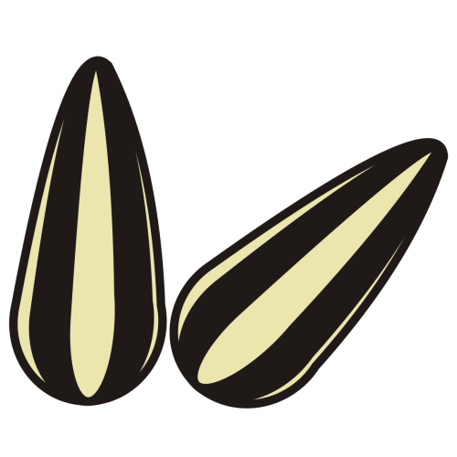Pumpkin Seed Clipart - Free Clipart Images