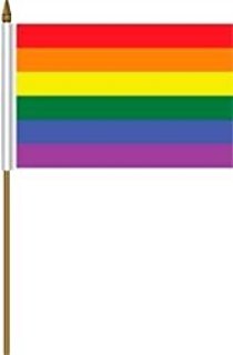 Amazon.com : Gay Rainbow Sisters 18"x12" Rainbow Pride Flag ...