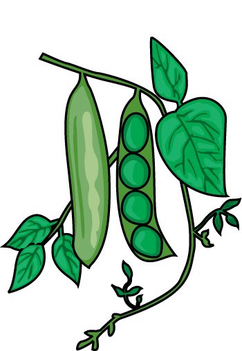 string bean clipart