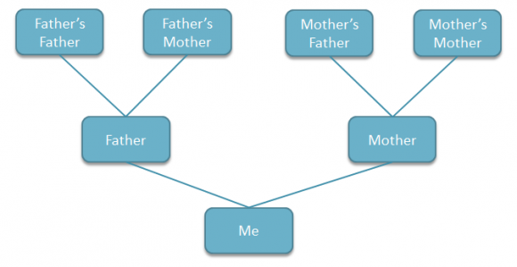 How to create a Family Tree in PowerPoint using shapes ...