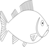 Fish Outline 3 clip art - vector clip art online, royalty free ...